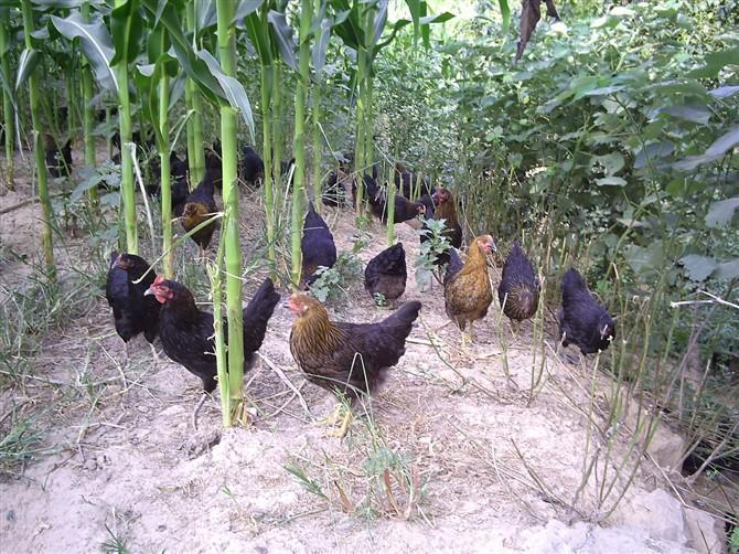 ��Щ���҂��ض���֪�R|�ЙC�ʵ��x��ͱ���